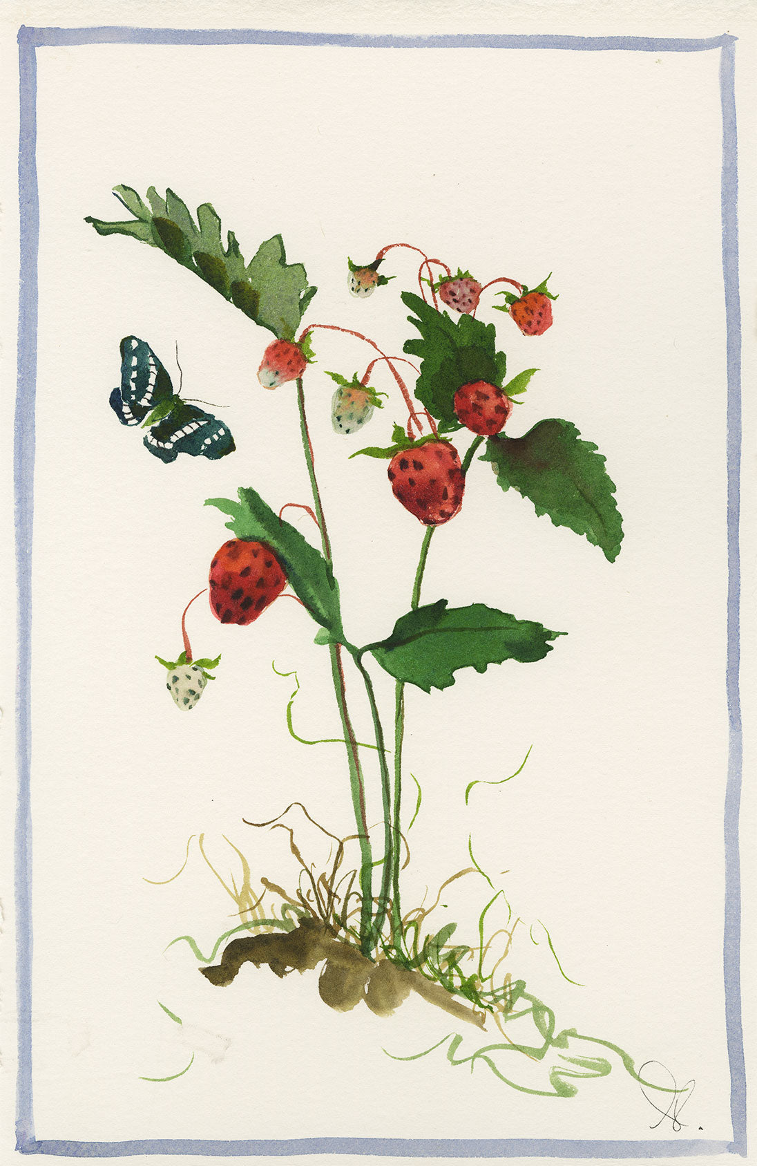 Wild Strawberries