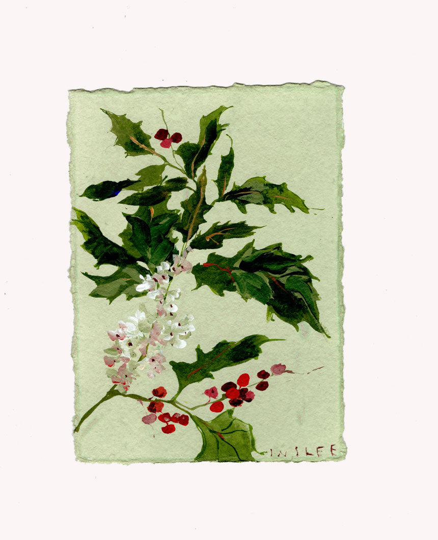 December's Holly No. 19