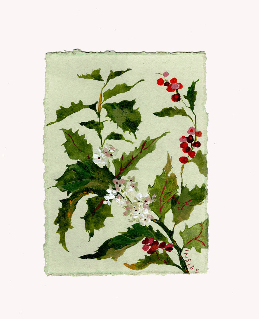 December's Holly No. 20