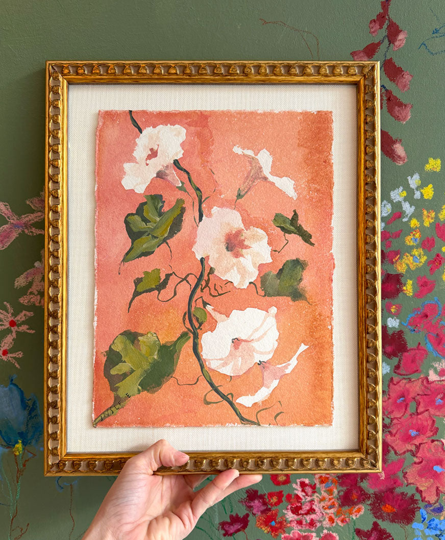 Botanique Blanc, morning glory