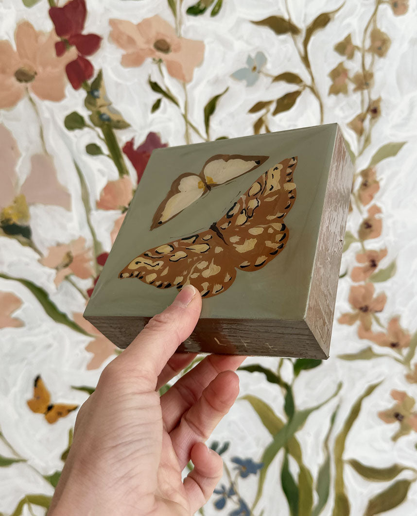 Butterfly Candy No. 16