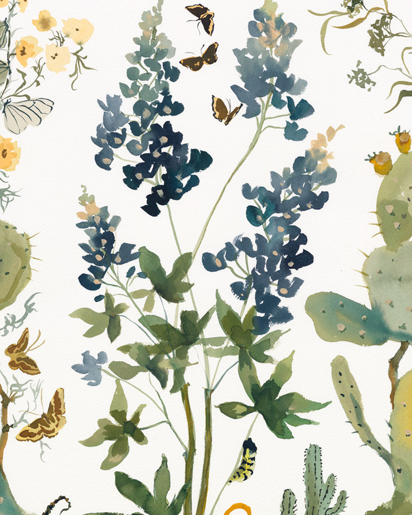 Bluebonnet & Cacti