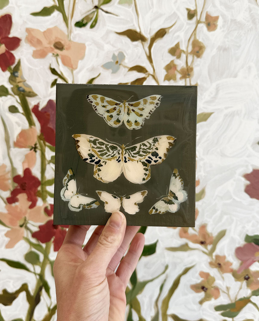 Butterfly Candy No. 14