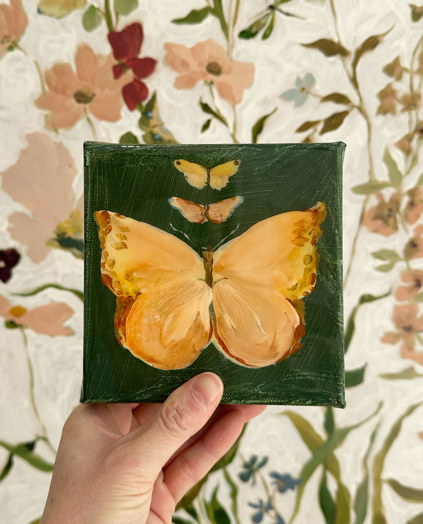 Butterfly Candy No. 5