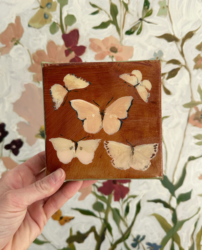 Butterfly Candy No. 4