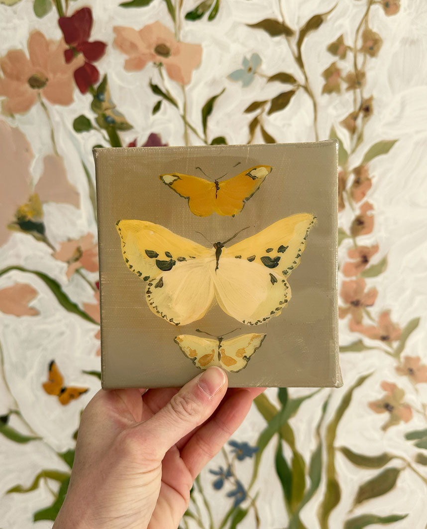 Butterfly Candy No. 6