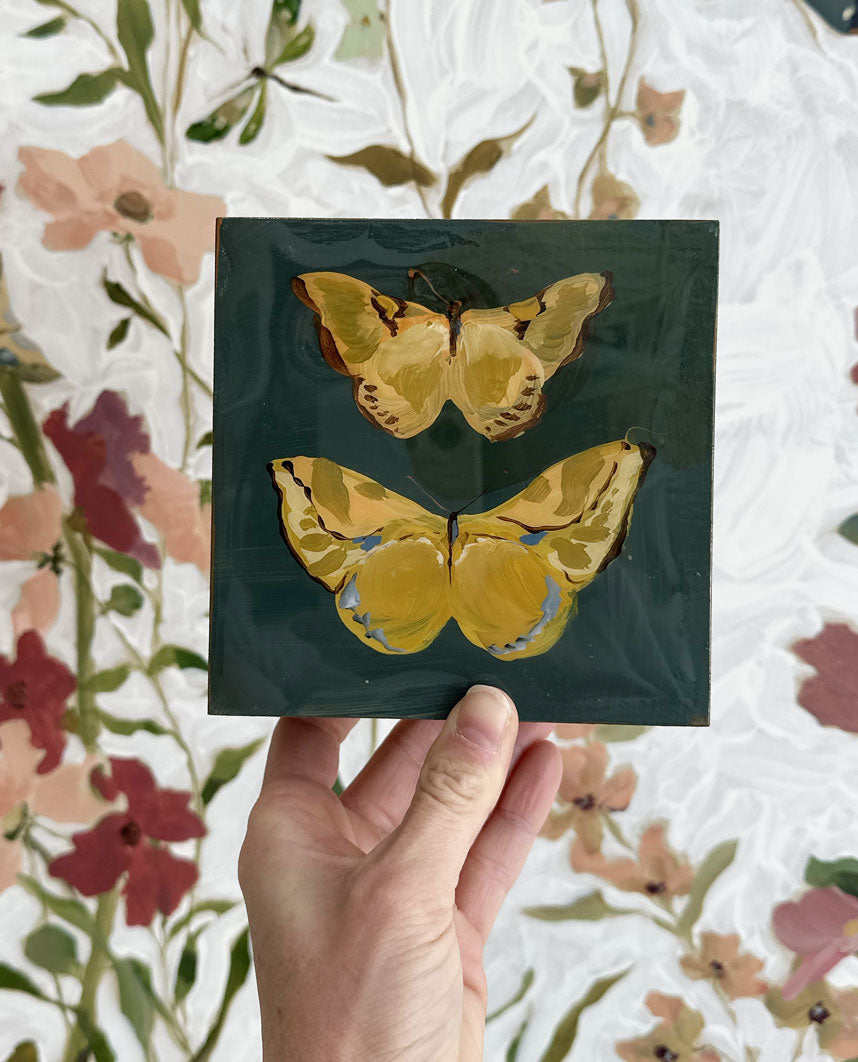 Butterfly Candy No. 9