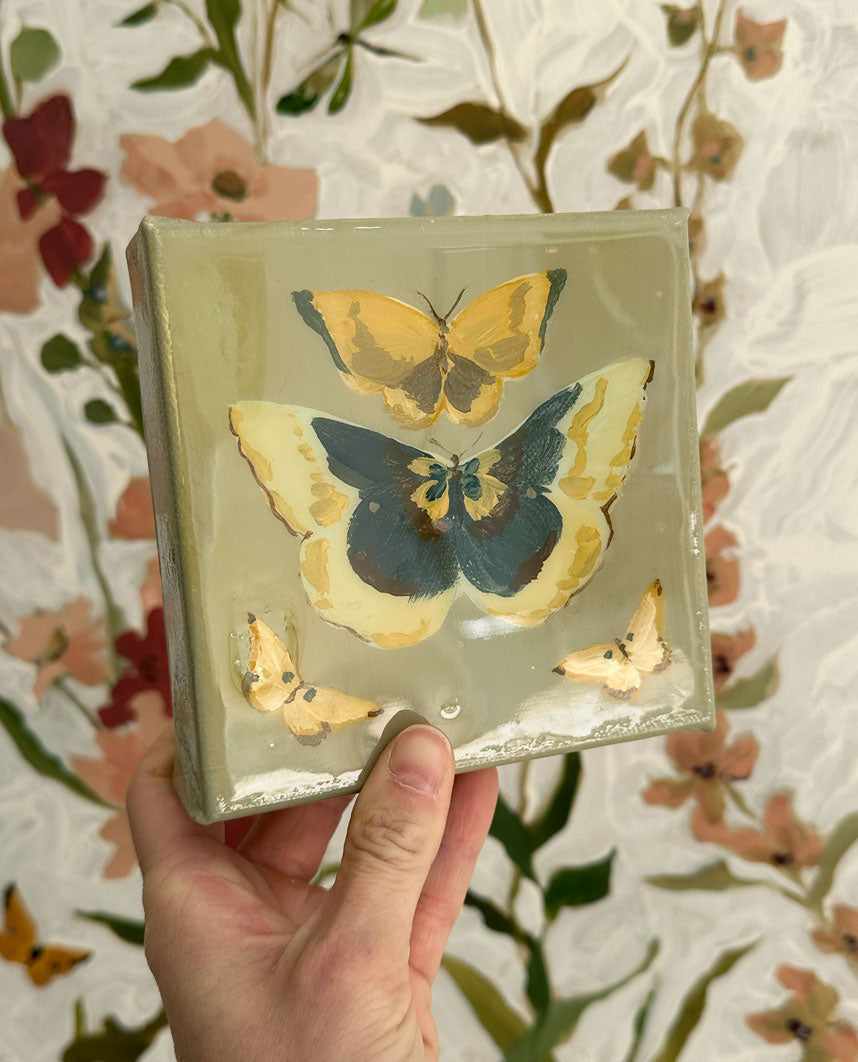 Butterfly Candy No.  1