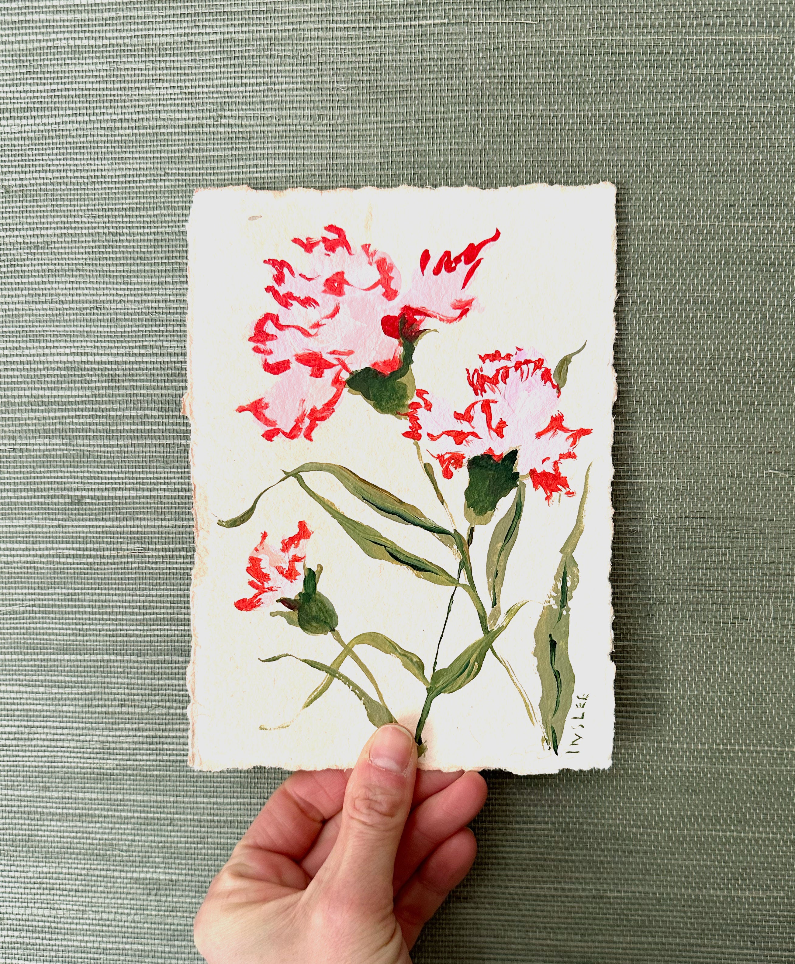 January's Carnation No. 12