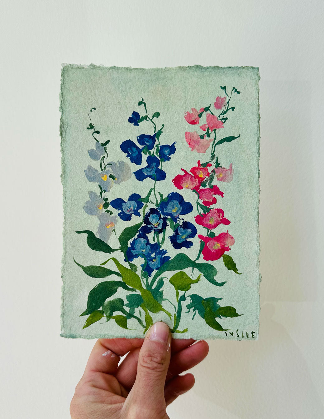 July's Delphinium No. 13