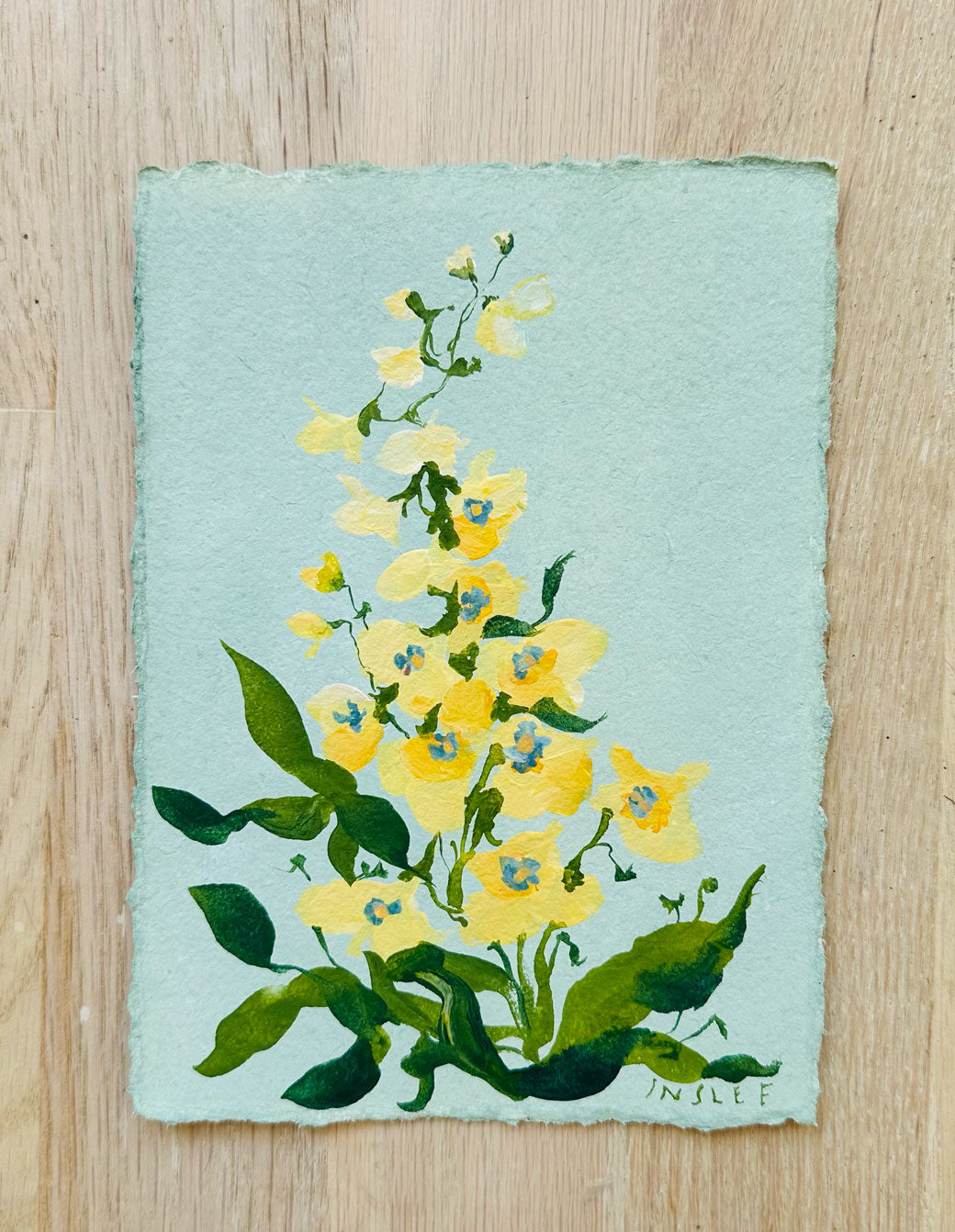 July's Delphinium No. 14