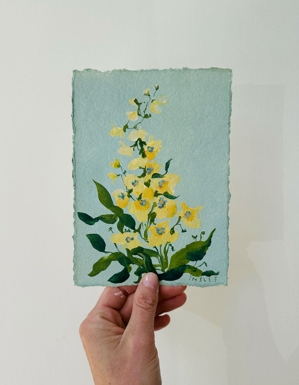 July's Delphinium No. 14