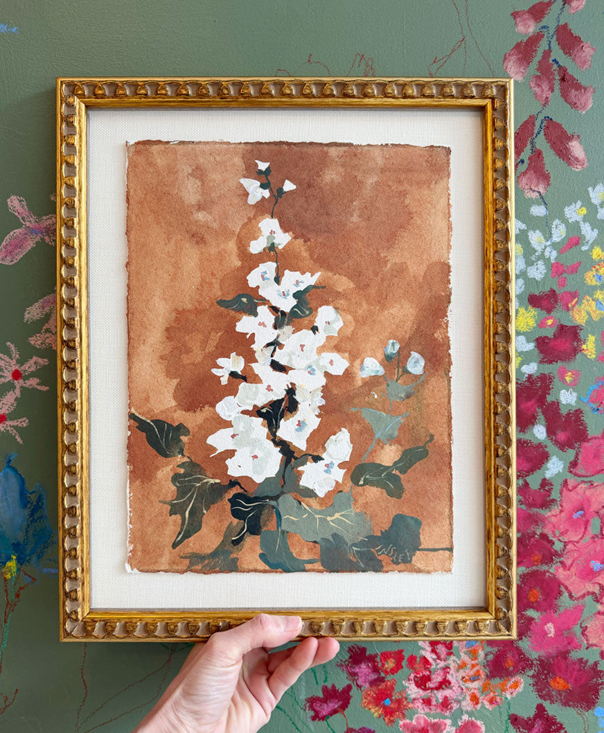 Botanique Blanc, Delphinium