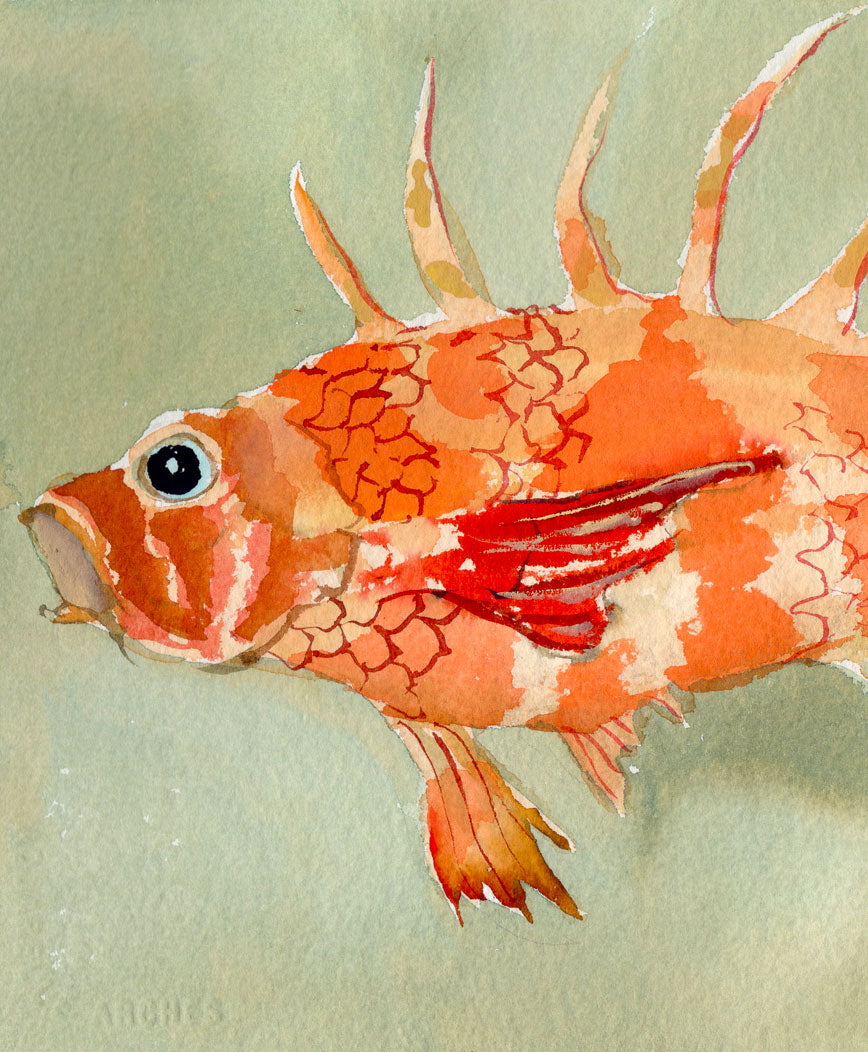 Party Fish No. 5