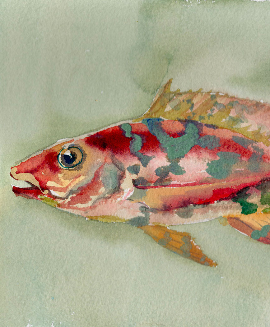 Party Fish No. 7