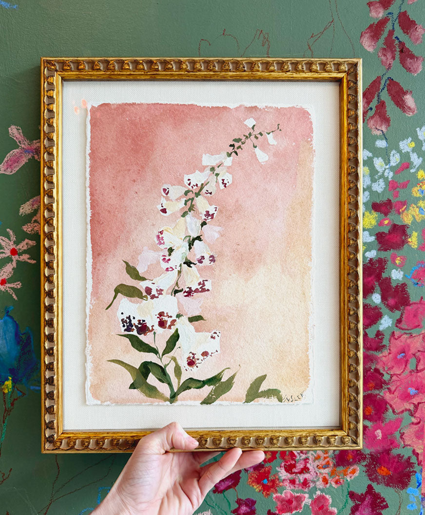 Botanique Blanc, foxglove