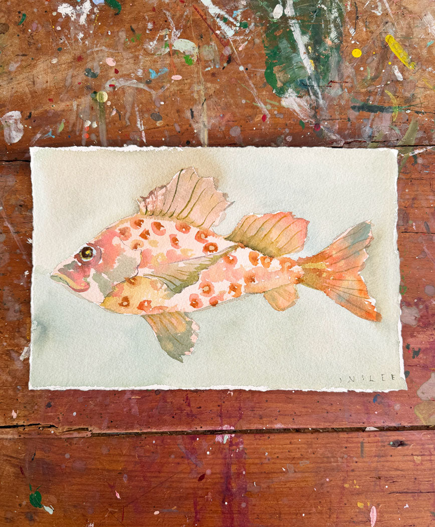 Party Fish No. 6