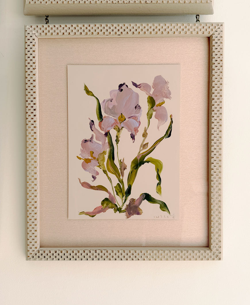 Pressed Meadow Flower, Mauve Iris