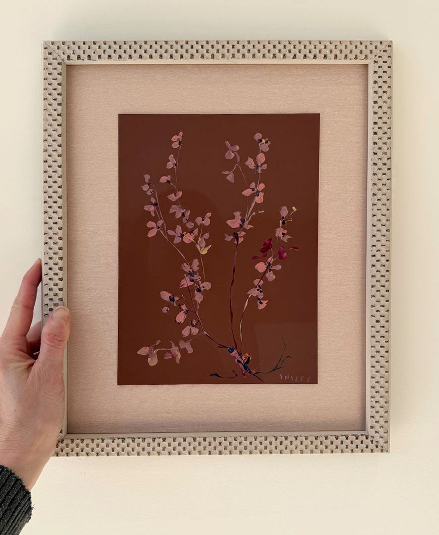 Pressed Meadow Flower, Primland