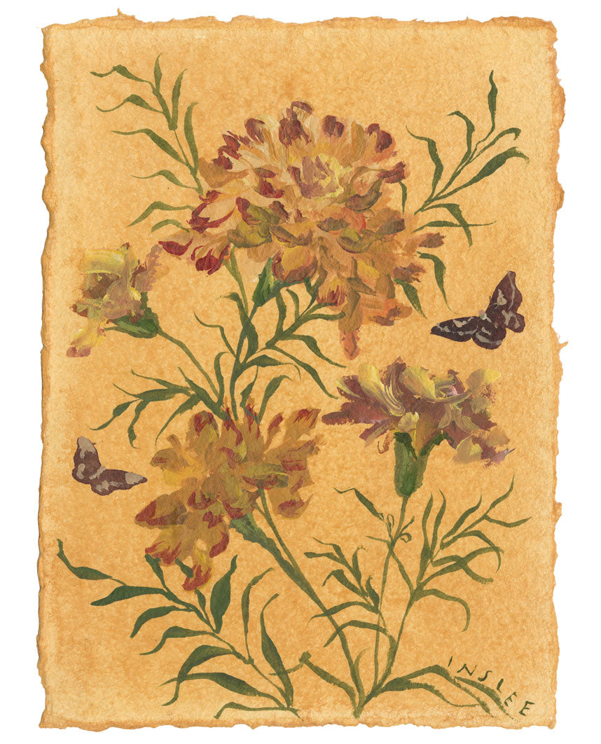 October’s Marigold No. 12