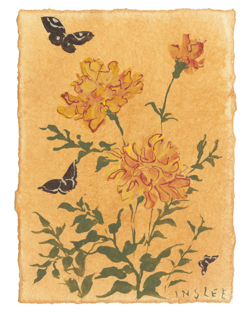 October’s Marigold No. 15