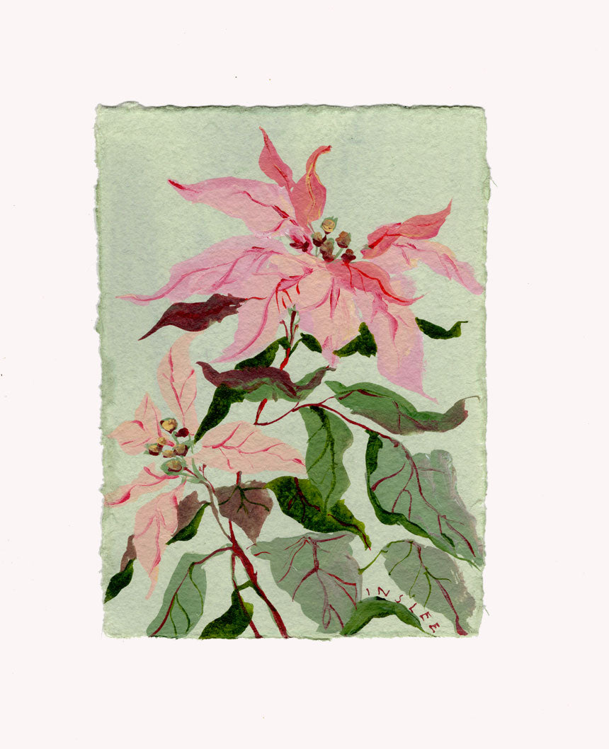 December's Poinsettia No. 16