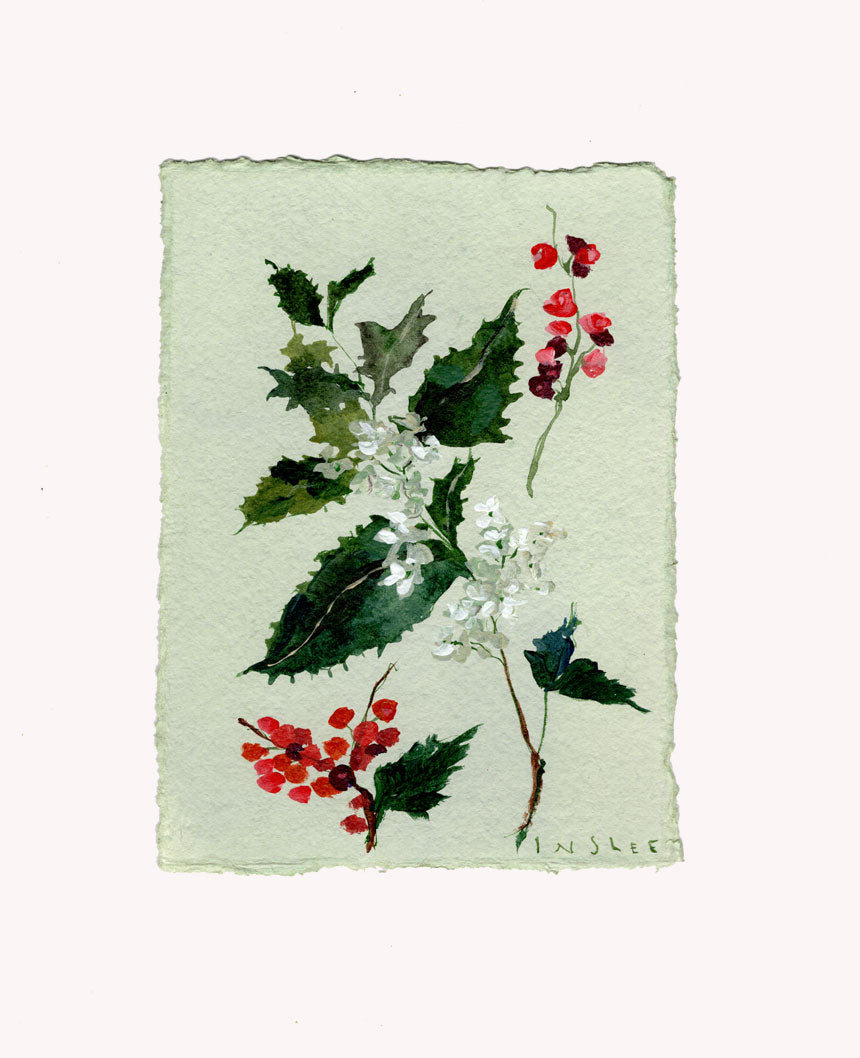December's Holly No. 6