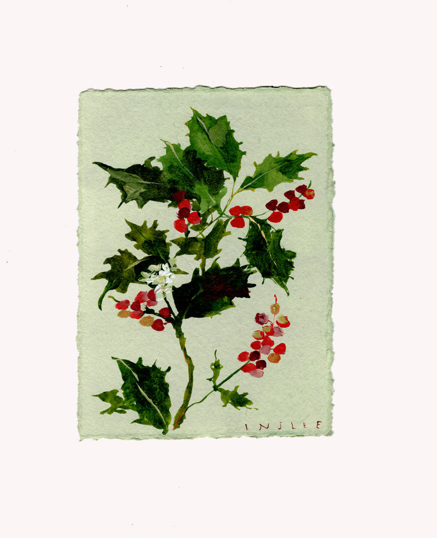 December's Holly No. 7