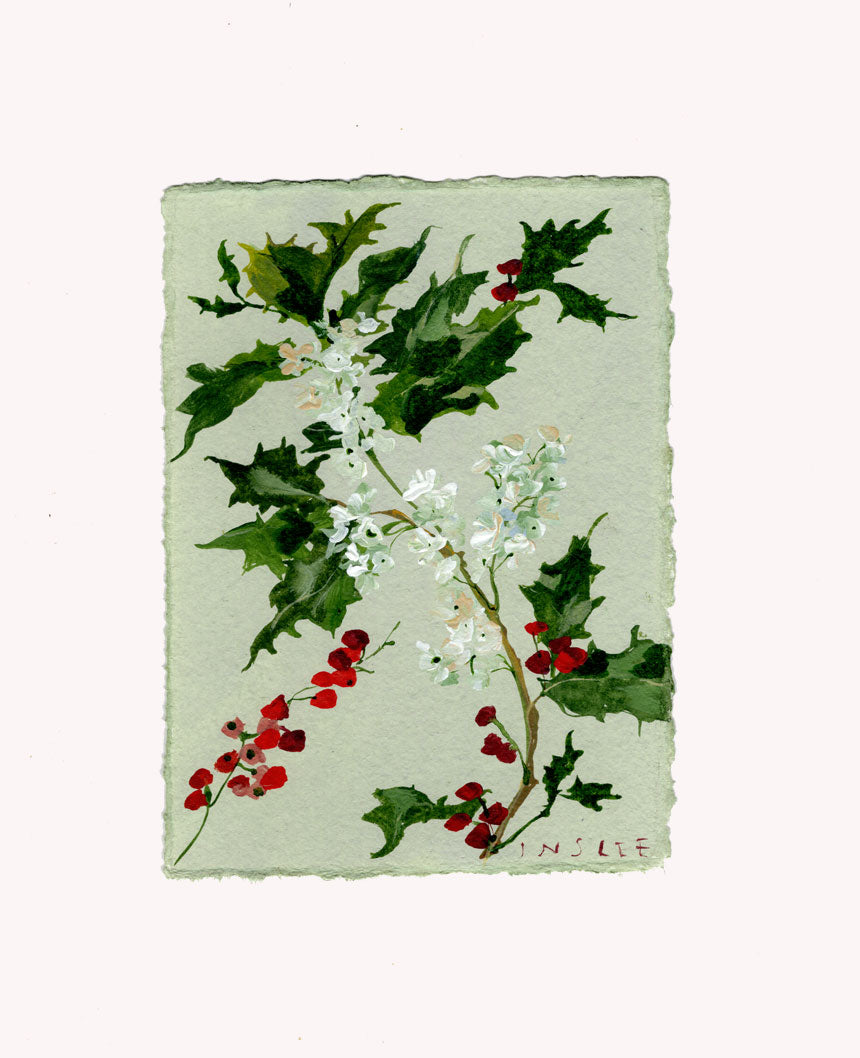 December's Holly No. 8