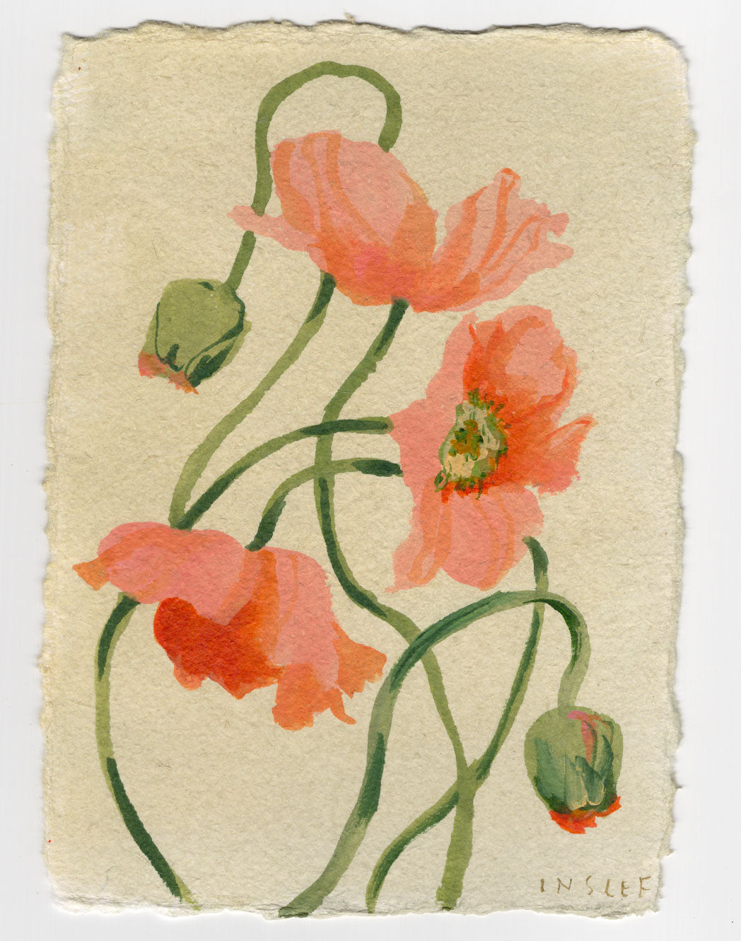 August's Poppy No. 2