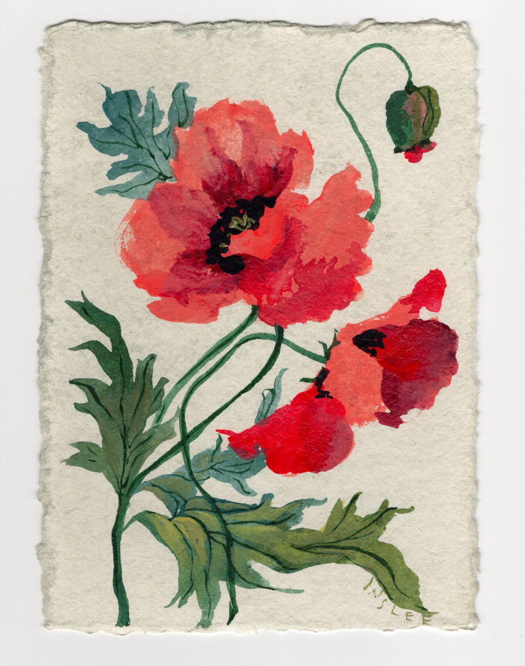 August's Poppy No. 3