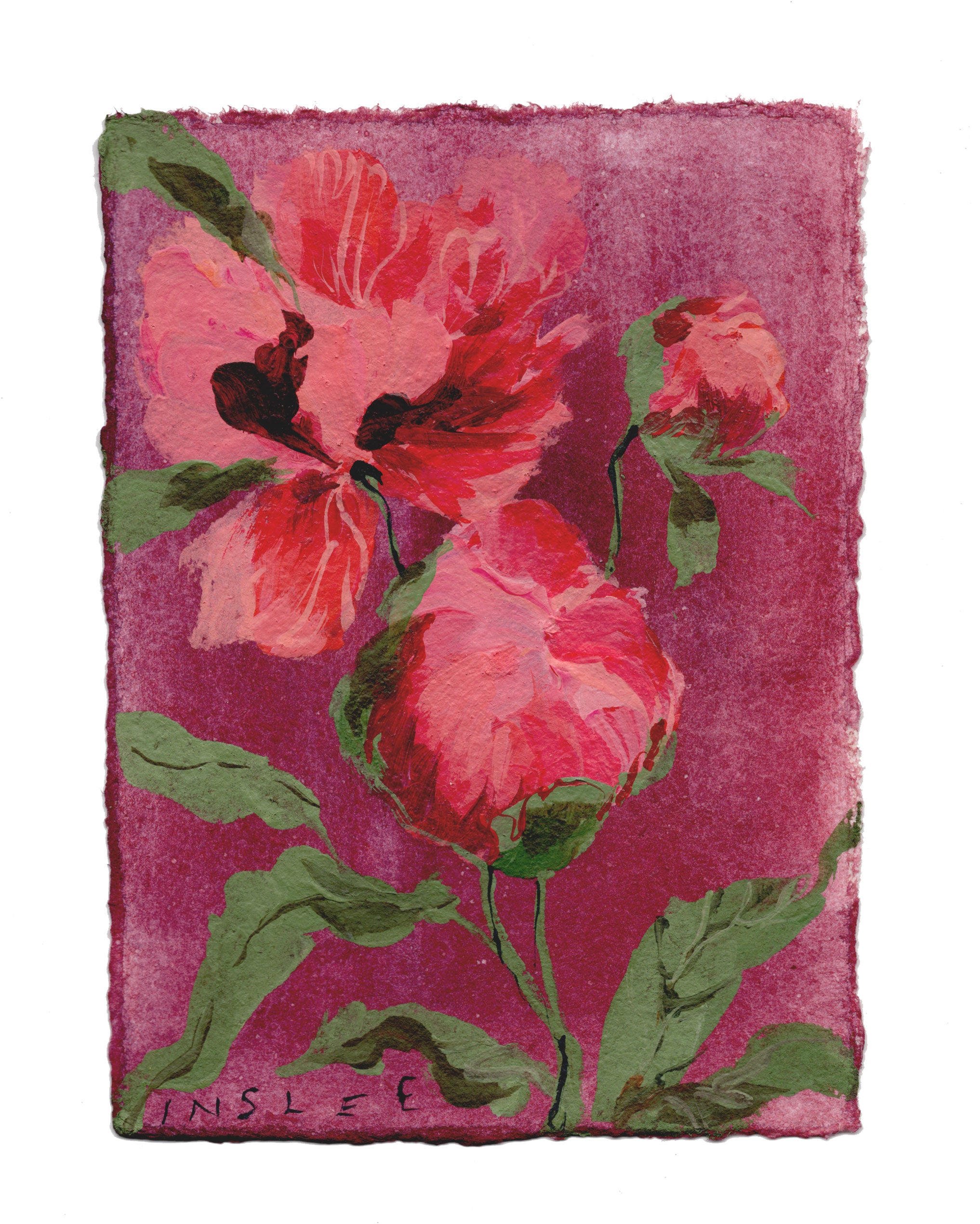 November's Peony No. 4