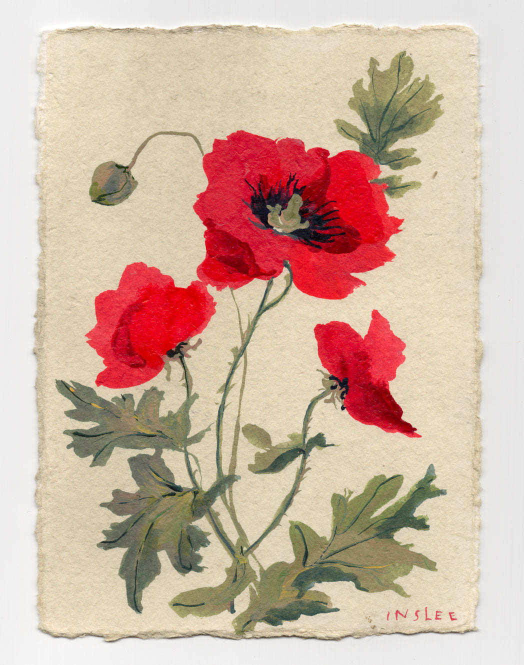 August's Poppy No. 5