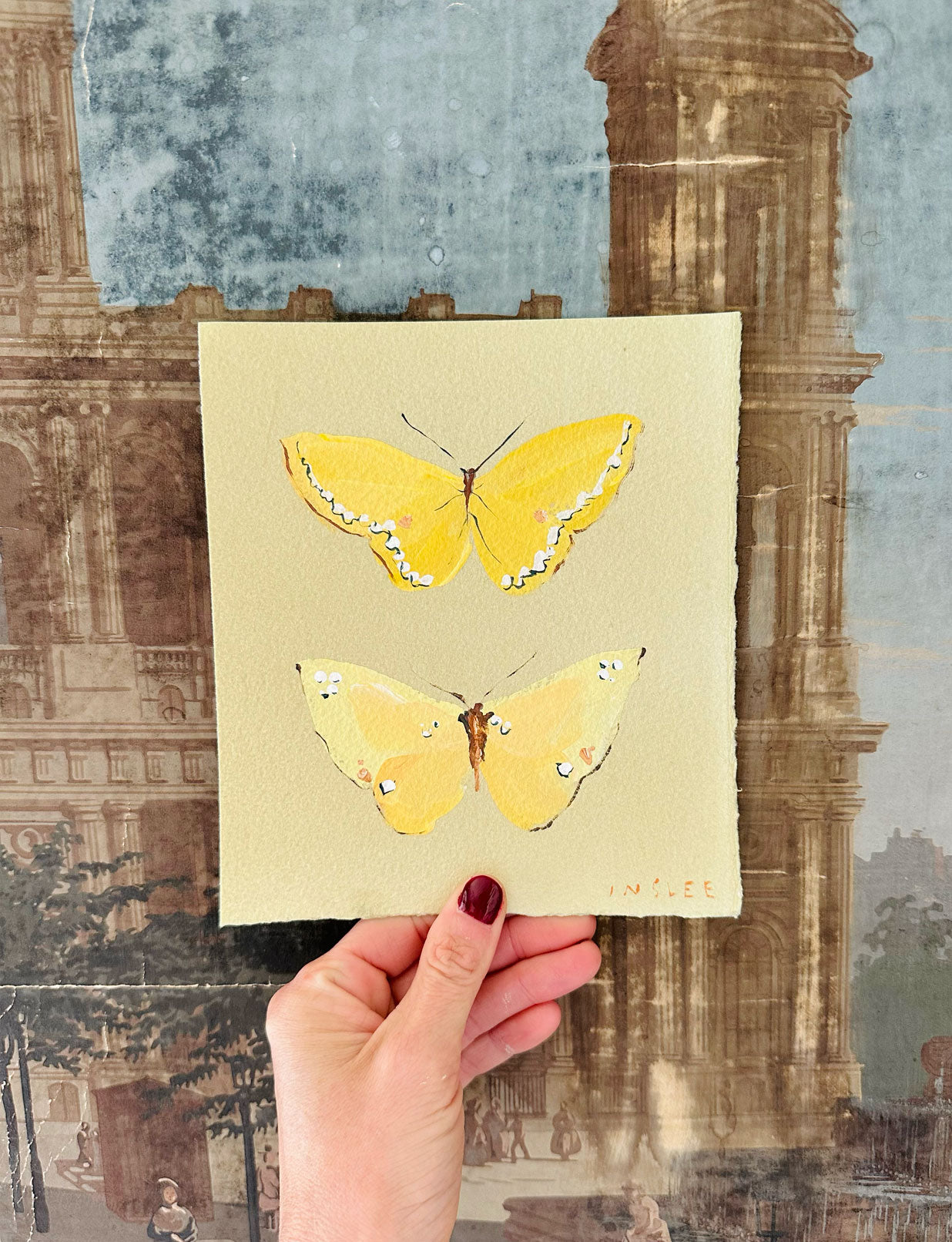 Yellow Butterflies on Ivory