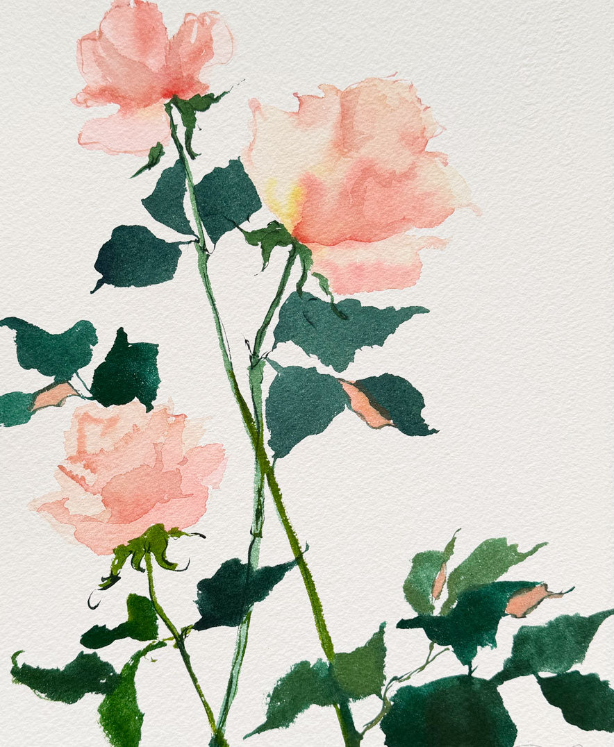 Rose Study No. 3