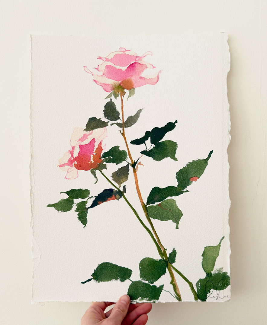 Rose Study No. 4