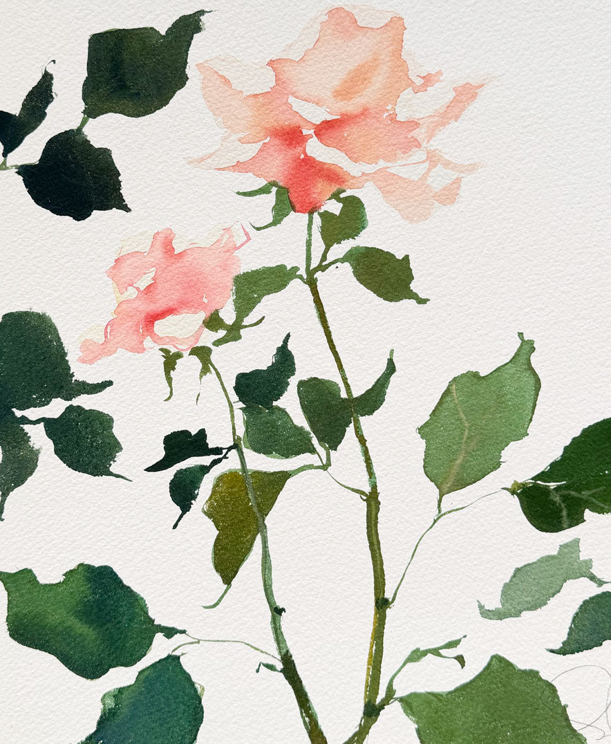 Rose Study No. 8