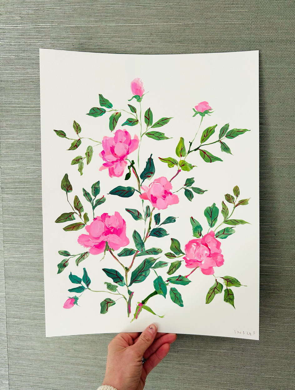 Climbing Rose