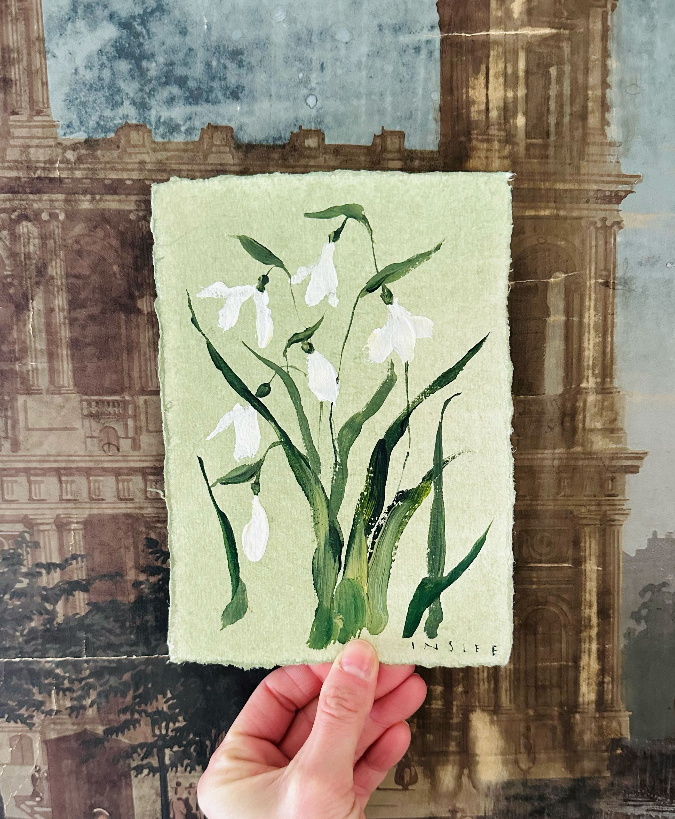 January's Snow Drop No. 14