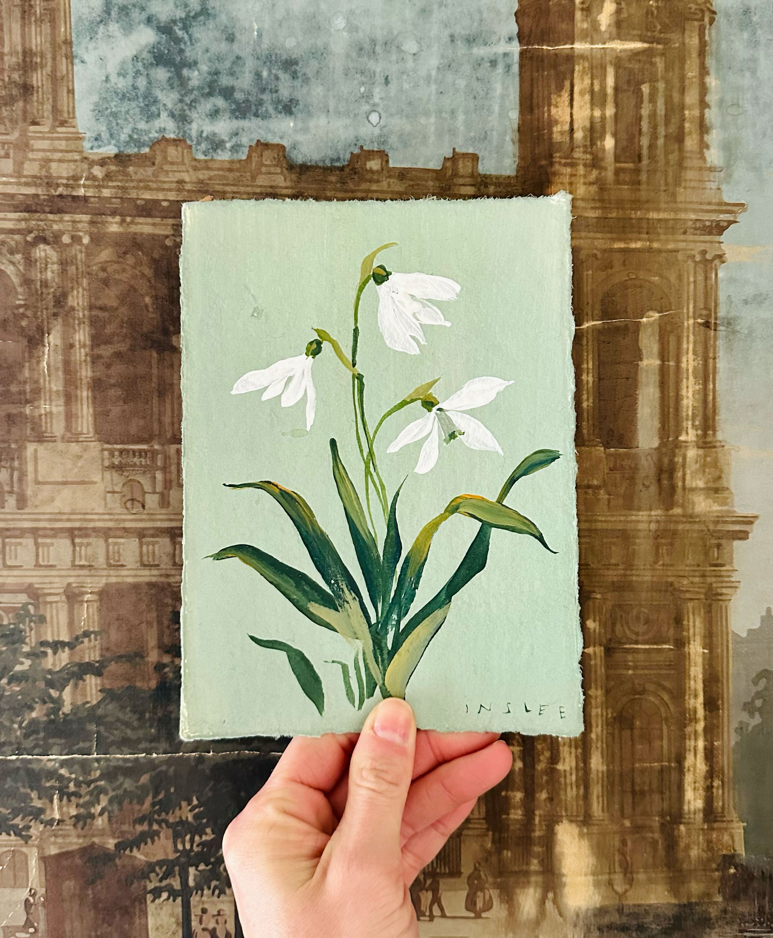 January's Snow Drop No. 2