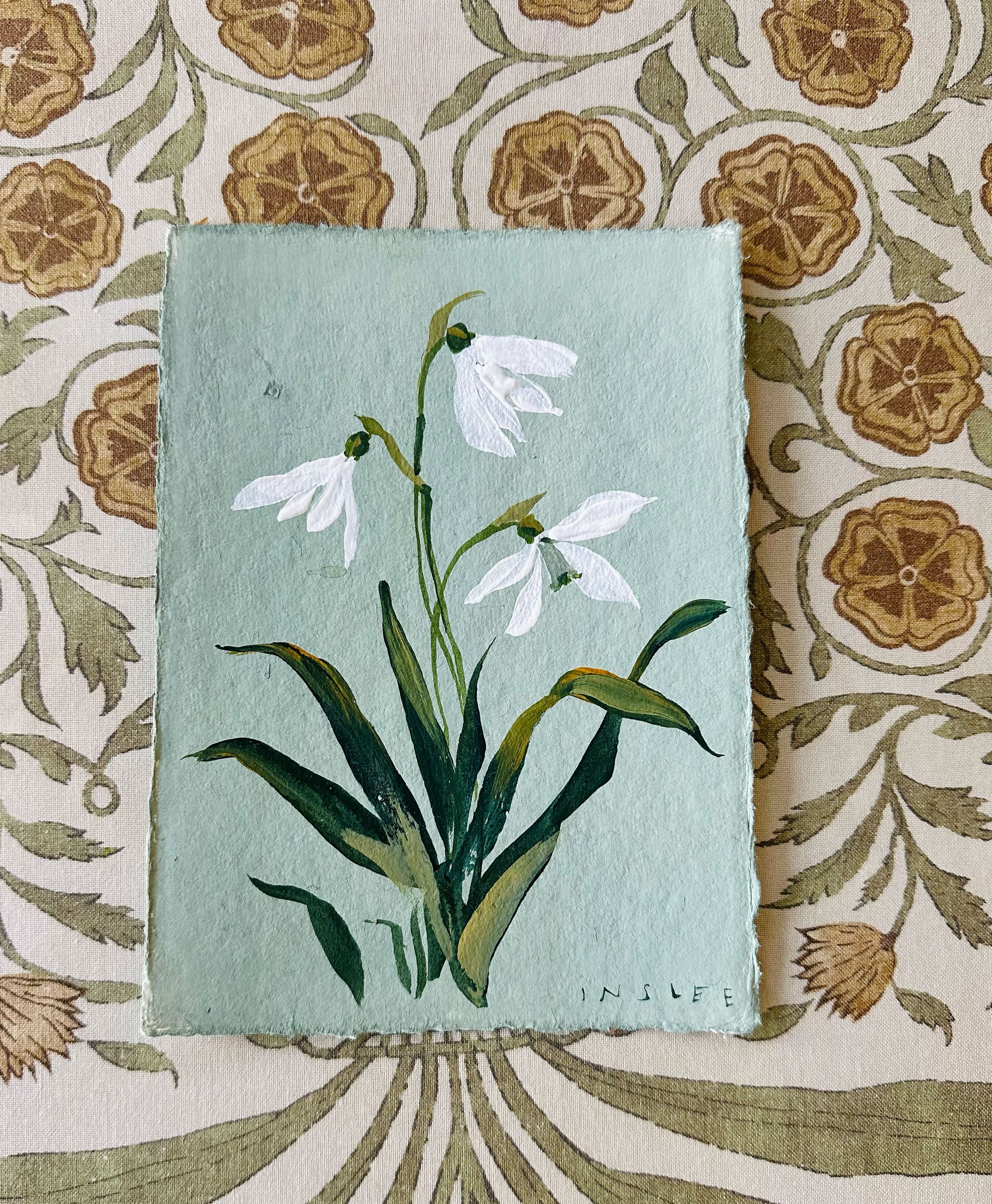 January's Snow Drop No. 2