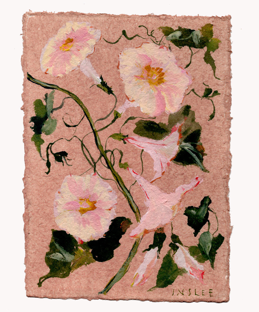 September's Morning Glory No. 14