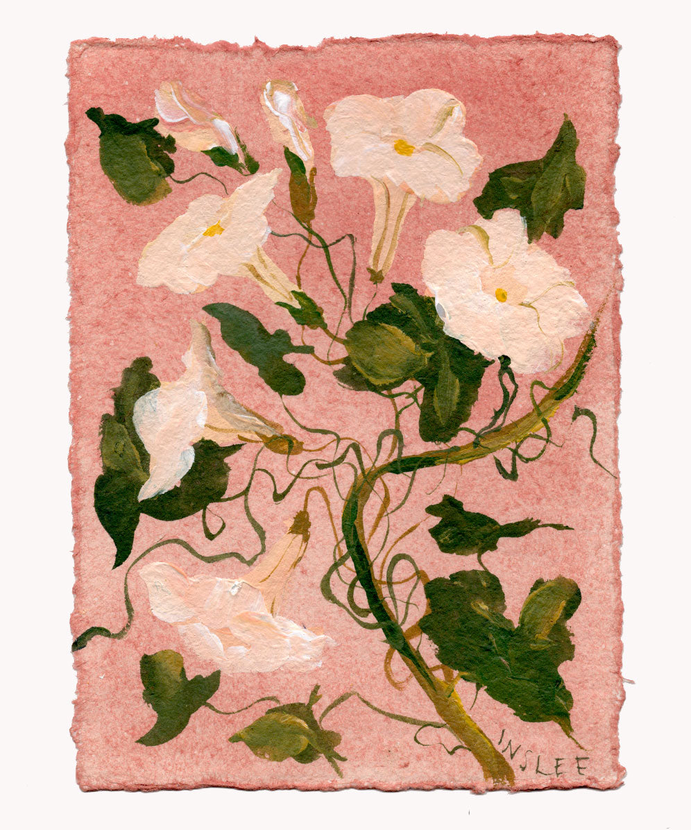 September's Morning Glory No. 18