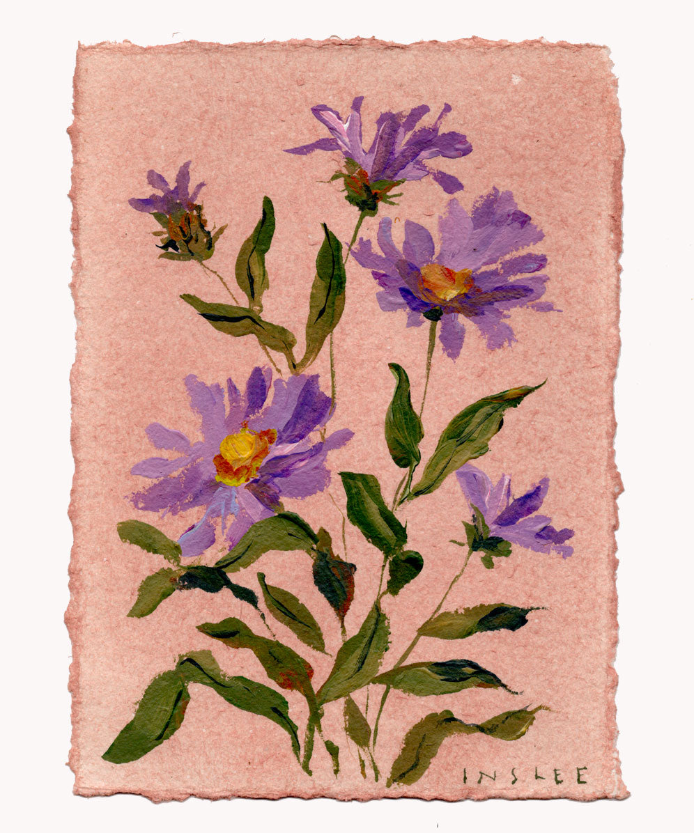 September's Aster No. 2
