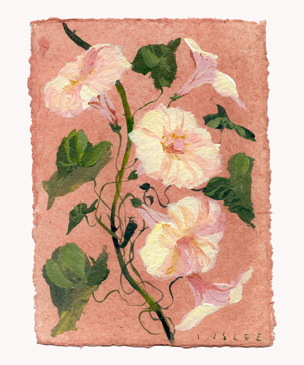 September's Morning Glory No. 3