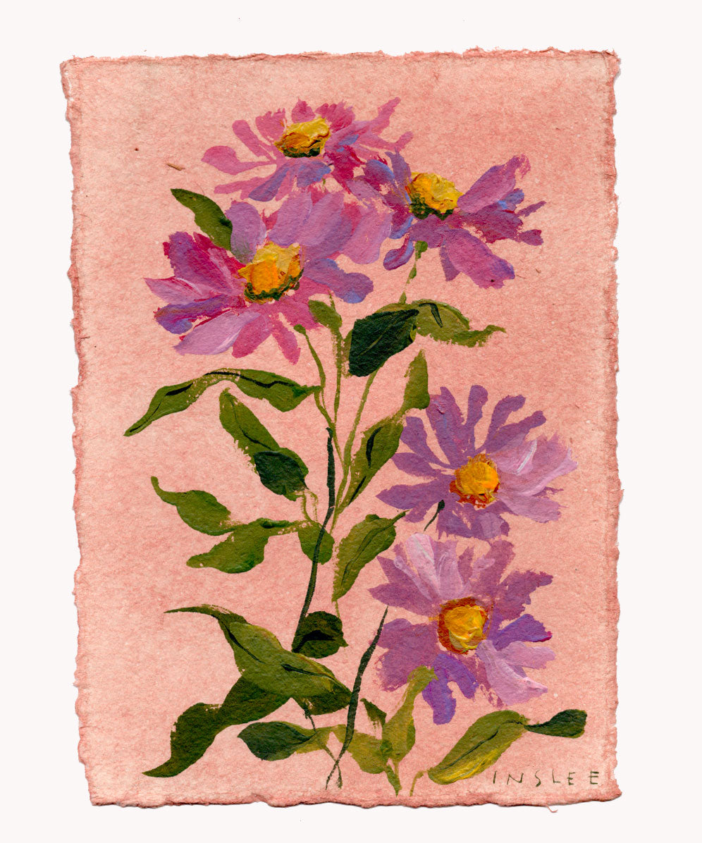 September's Aster No. 5