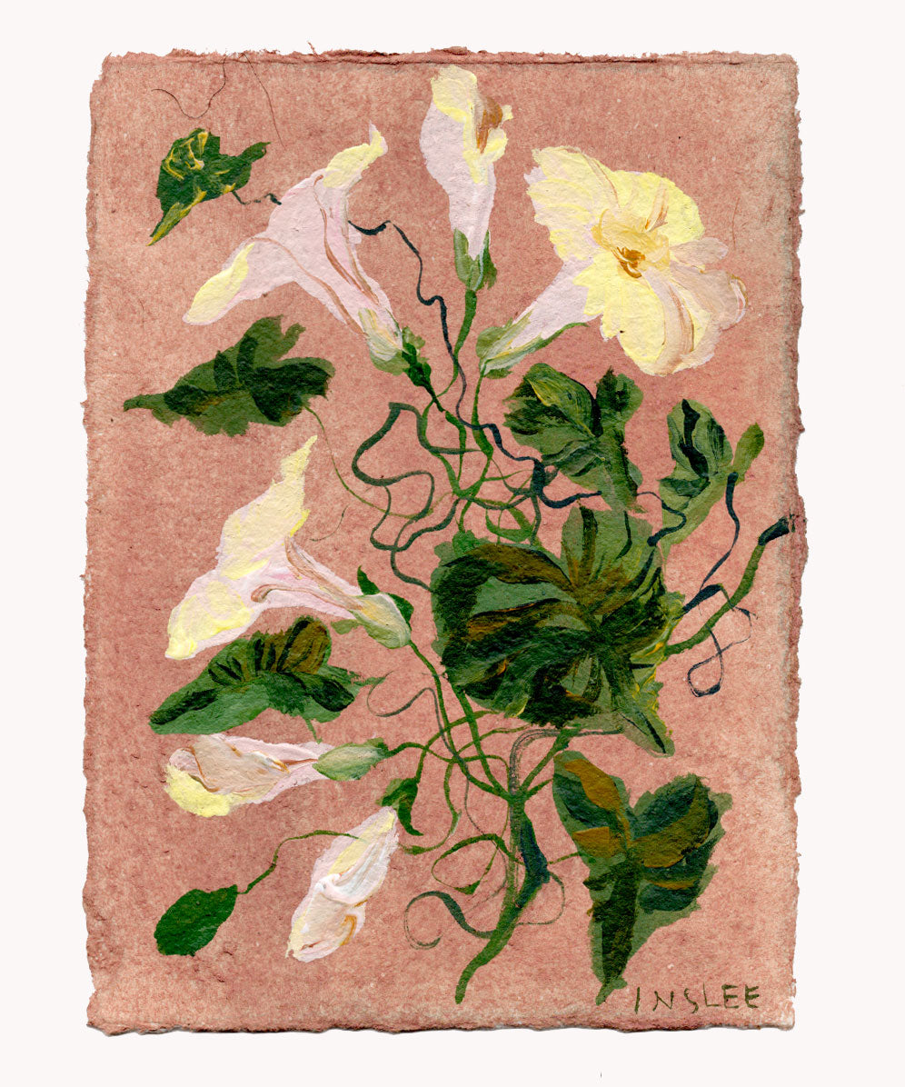 September's Morning Glory No. 8