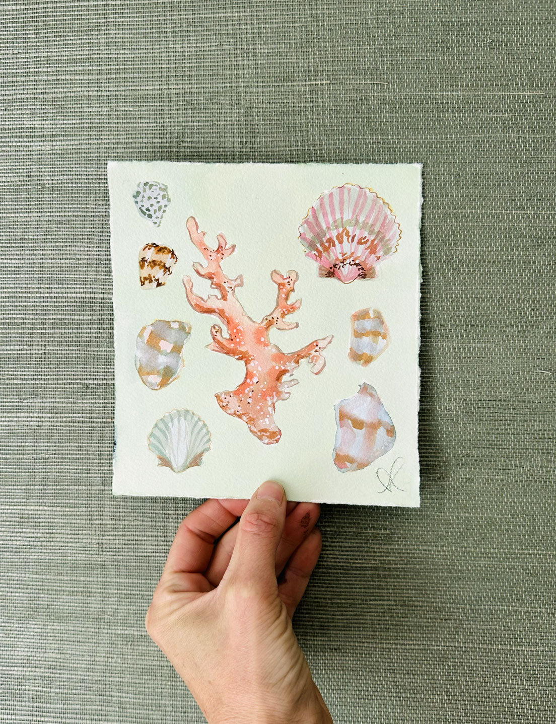 Sea Shell Study No. 2