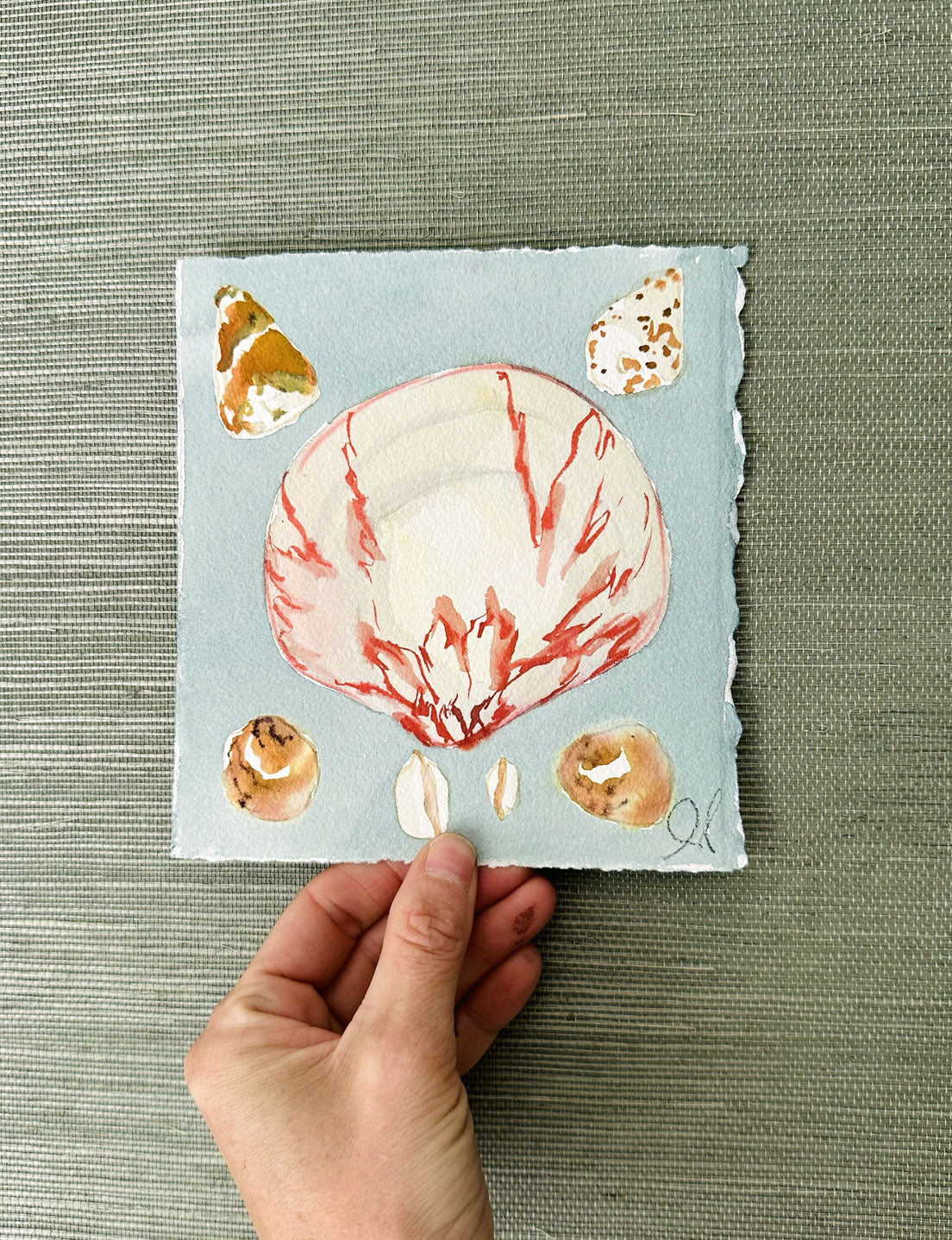 Sea Shell Study No. 6