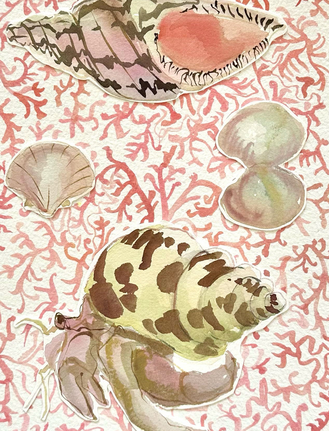 Shell Collage on Pink Coral